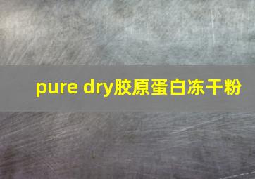 pure dry胶原蛋白冻干粉